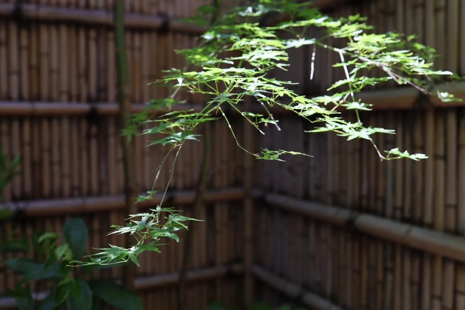 Hotel Rakurakuan Kyoto Japan